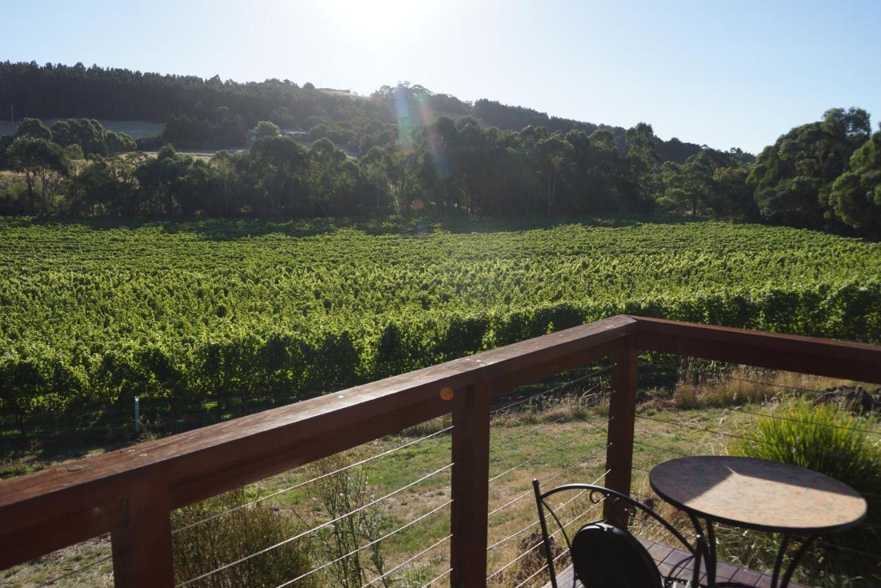 Gisborne Peak Winery Short Term Stays Zewnętrze zdjęcie