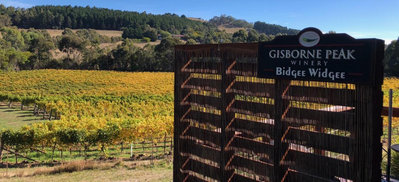 Gisborne Peak Winery Short Term Stays Zewnętrze zdjęcie