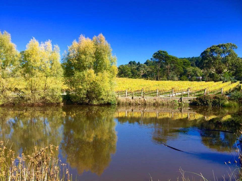 Gisborne Peak Winery Short Term Stays Zewnętrze zdjęcie
