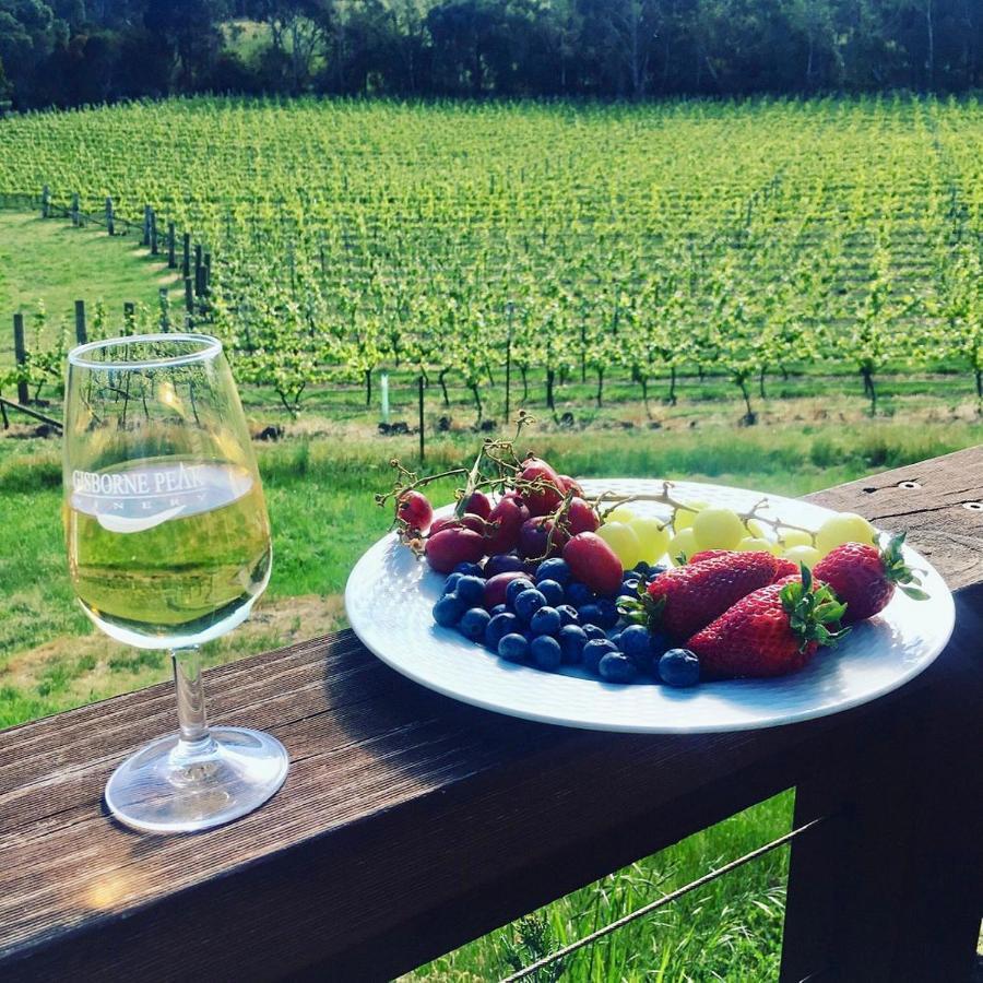 Gisborne Peak Winery Short Term Stays Zewnętrze zdjęcie