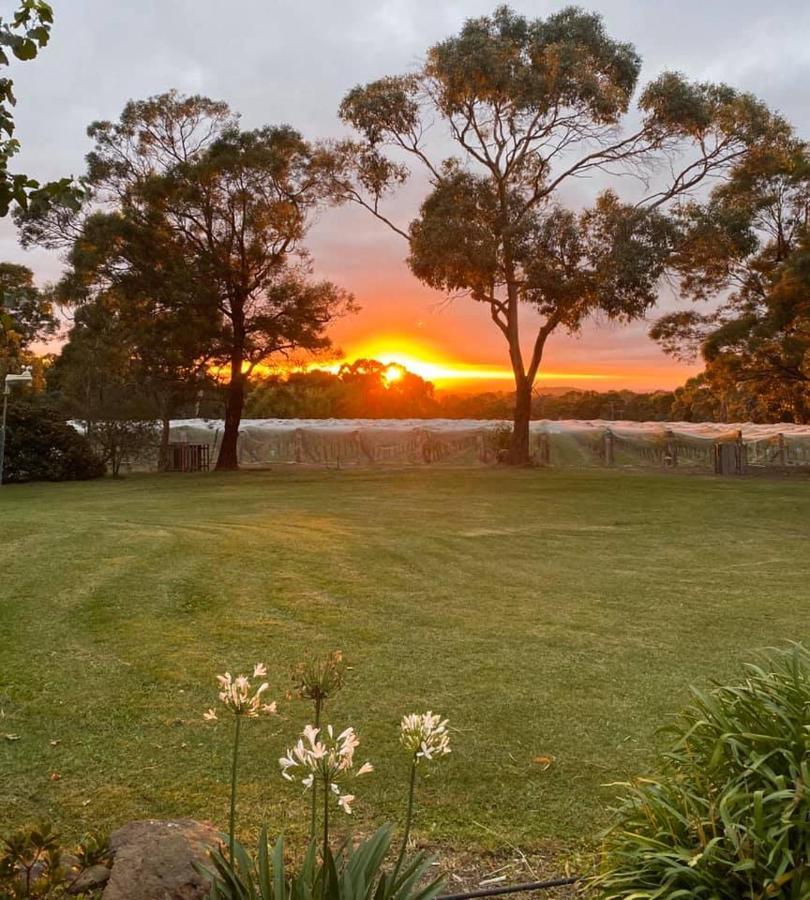 Gisborne Peak Winery Short Term Stays Zewnętrze zdjęcie