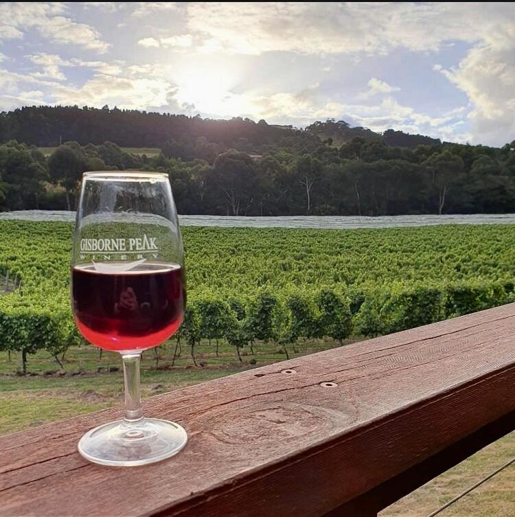 Gisborne Peak Winery Short Term Stays Zewnętrze zdjęcie