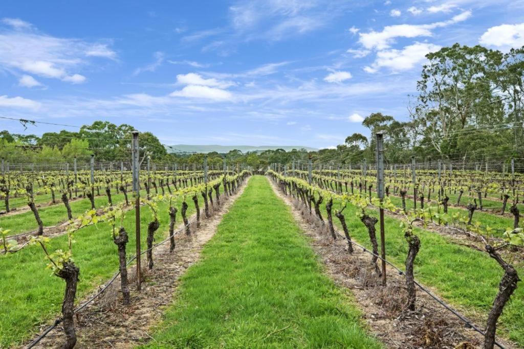 Gisborne Peak Winery Short Term Stays Zewnętrze zdjęcie