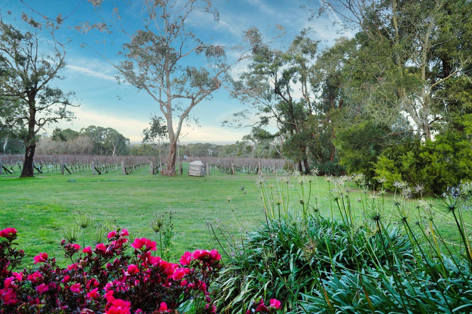 Gisborne Peak Winery Short Term Stays Zewnętrze zdjęcie