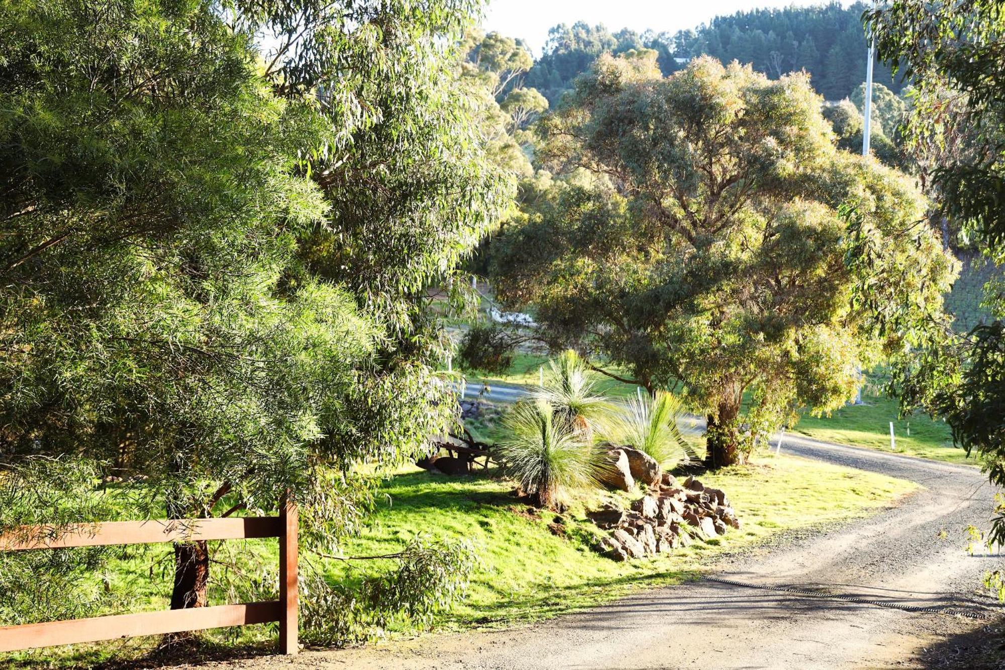 Gisborne Peak Winery Short Term Stays Zewnętrze zdjęcie