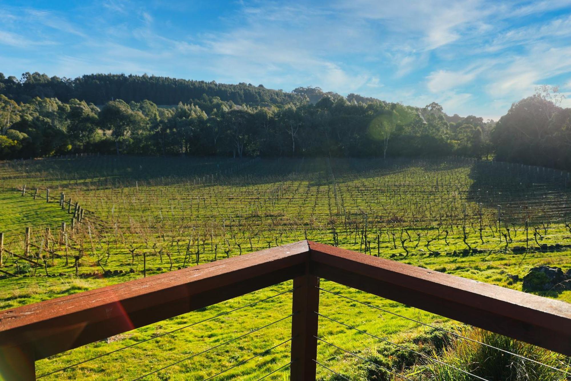 Gisborne Peak Winery Short Term Stays Zewnętrze zdjęcie