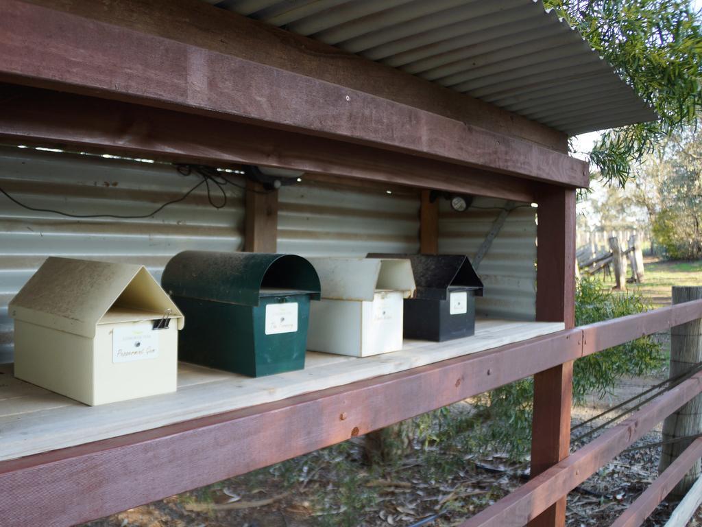Gisborne Peak Winery Short Term Stays Pokój zdjęcie